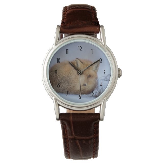 Cute Little Fox Curled Up Winter Photo Watch (Front)