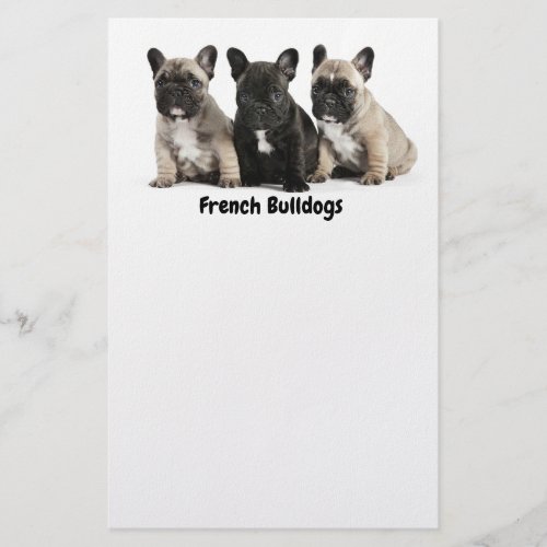 Cute little French Bulldogs Label Flyer