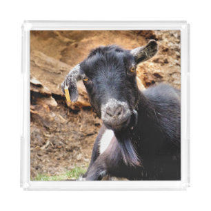 CUTE LITTLE GOAT ACRYLIC TRAY