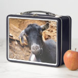 CUTE LITTLE GOAT METAL LUNCH BOX