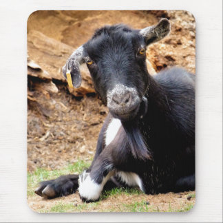 CUTE LITTLE GOAT MOUSE PAD