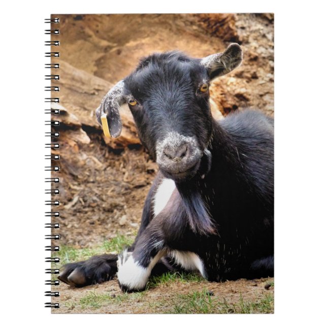 CUTE LITTLE GOAT NOTEBOOK (Front)