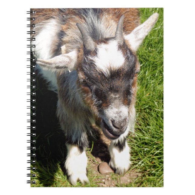 CUTE LITTLE GOAT NOTEBOOK (Front)