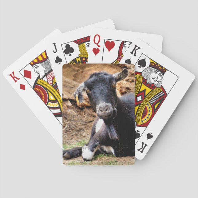 CUTE LITTLE GOAT  POKER CARDS (Back)