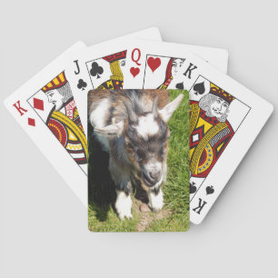CUTE LITTLE GOAT POKER CARDS
