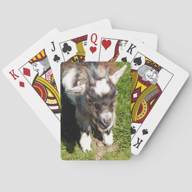 CUTE LITTLE GOAT POKER CARDS (Back)
