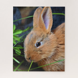 Cute Little Golden Bunny Jigsaw Puzzle