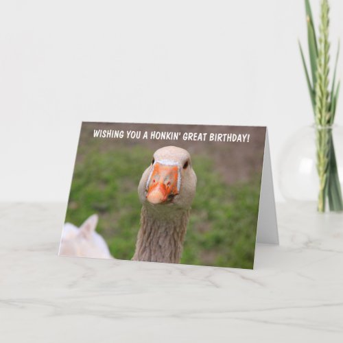 Cute Little Goose Birthday Card