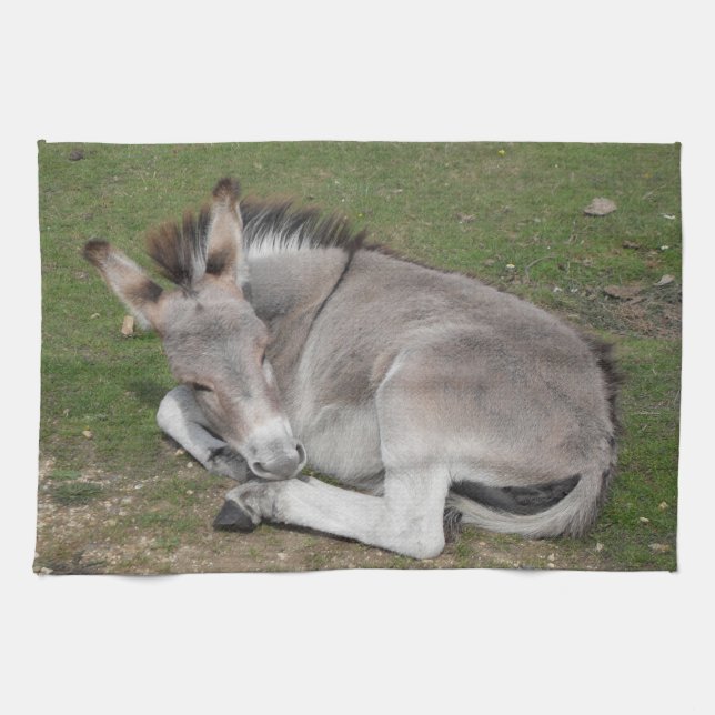 Cute Little Gray Donkey Baby Foal Laying Down Kitchen Towel (Horizontal)