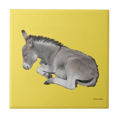 Cute Little Gray Donkey Baby Foal Sleeping Ceramic Tile