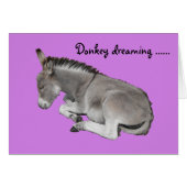 Cute Little Grey Donkey Baby Foal Dreaming (Front Horizontal)