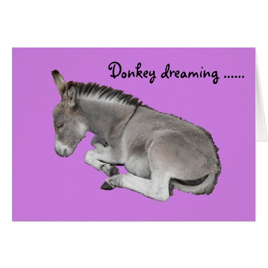 Cute Little Grey Donkey Baby Foal Dreaming (Front Horizontal)