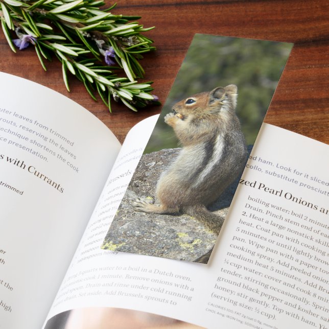 Cute Little Ground Squirrel Photo Bookmarks (Book)