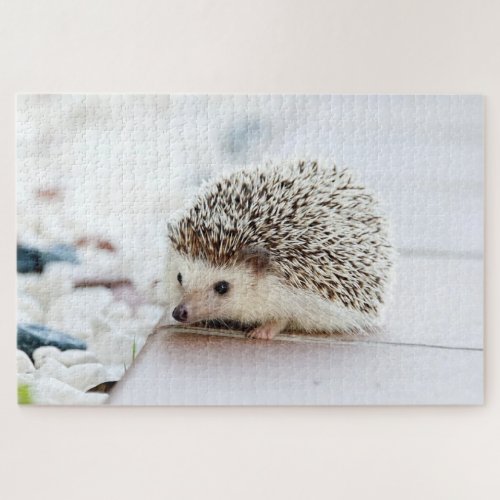 Cute little hedgehog jigsaw puzzle