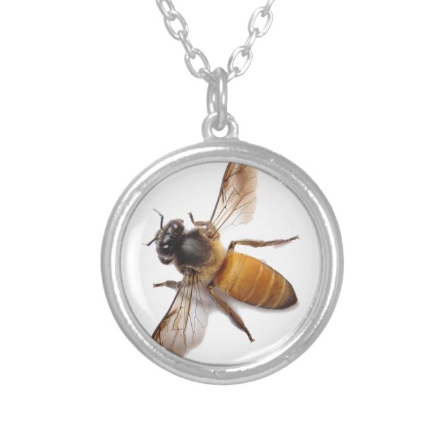 Cute little Honey Bee Silver Plated Necklace (Front)