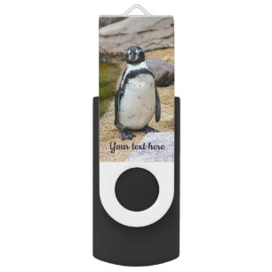 Cute Little Humboldt Penguin Flash Drive