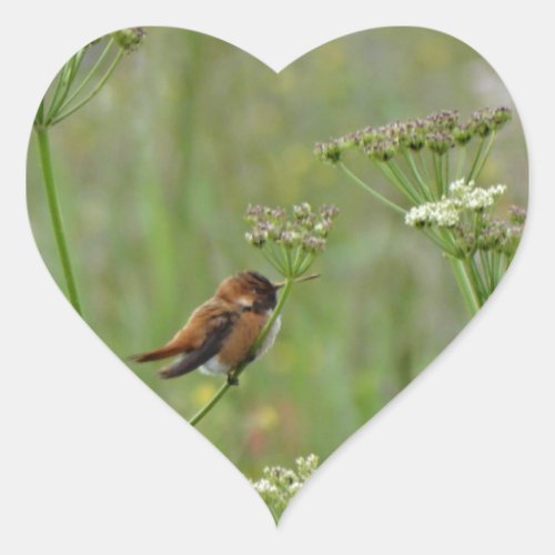 Cute little Hummingbird Heart Sticker