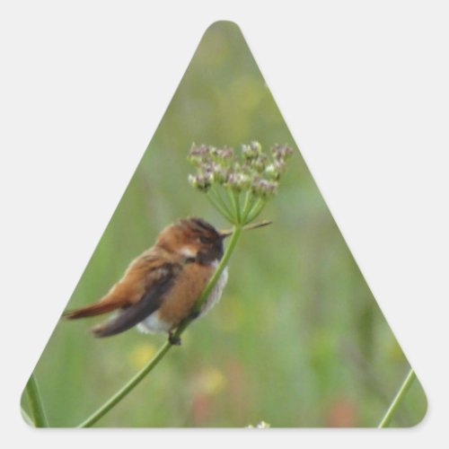 Cute little Hummingbird Triangle Sticker