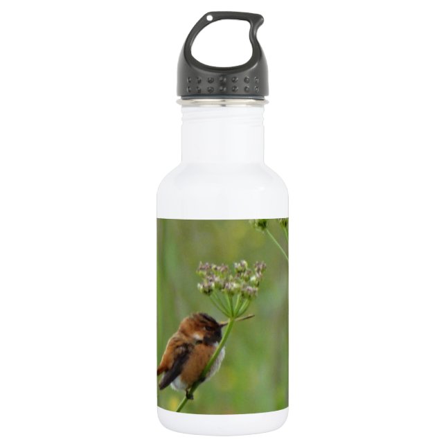 Cute little Hummingbird Water Bottle (Front)
