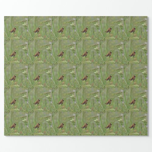 Cute little Hummingbird Wrapping Paper