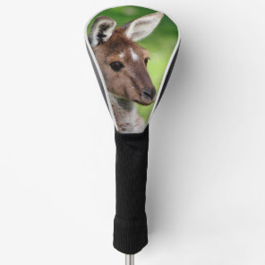 Cute Little Kangaroo Golf Head Cover
