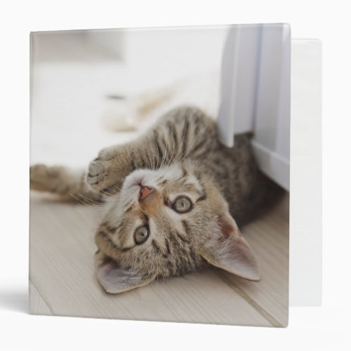 Cute Little Kitten 3 Ring Binder