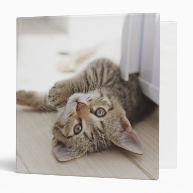 Cute Little Kitten 3 Ring Binder (Front/Inside)