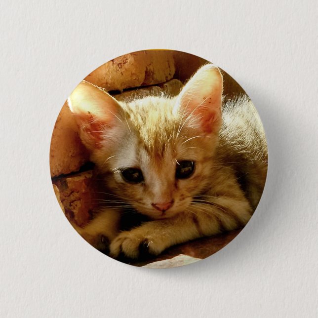 Cute Little Kitten Button (Front)