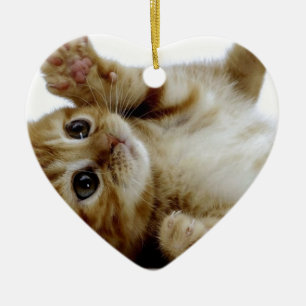 cute little kitten cat pet ginger tabby ceramic ornament
