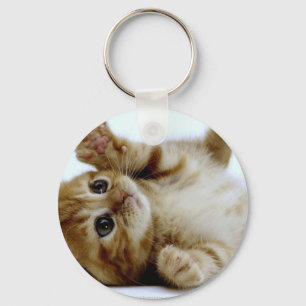 cute little kitten cat pet ginger tabby keychain
