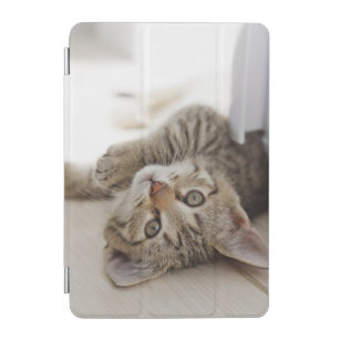 Cute Little Kitten iPad Mini Cover