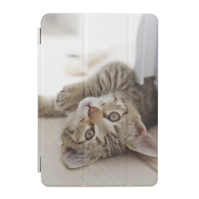 Cute Little Kitten iPad Mini Cover (Front)