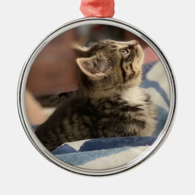 Cute little Kitten Personalized Photo Christmas   Metal Ornament (Front)