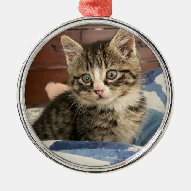 Cute little Kitten Personalized Photo Christmas Metal Ornament (Front)