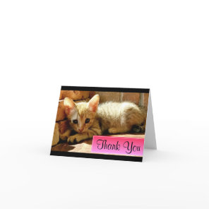 Cute Little Kitten Thank You Card