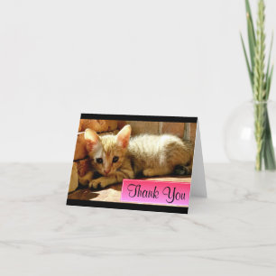 Cute Little Kitten Thank You Card