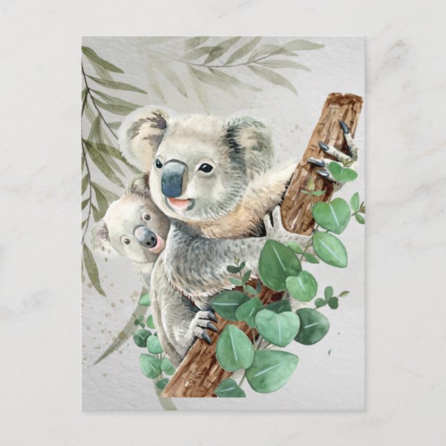Cute Little Koala Bear Australian Animal Art  Postcard (Front)