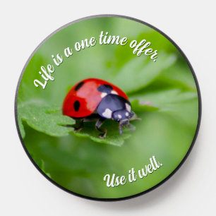 Cute little ladybug black dots motivational quote PopSocket