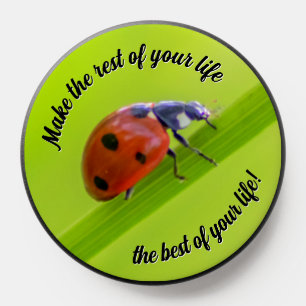 Cute little ladybug black dots motivational quote PopSocket