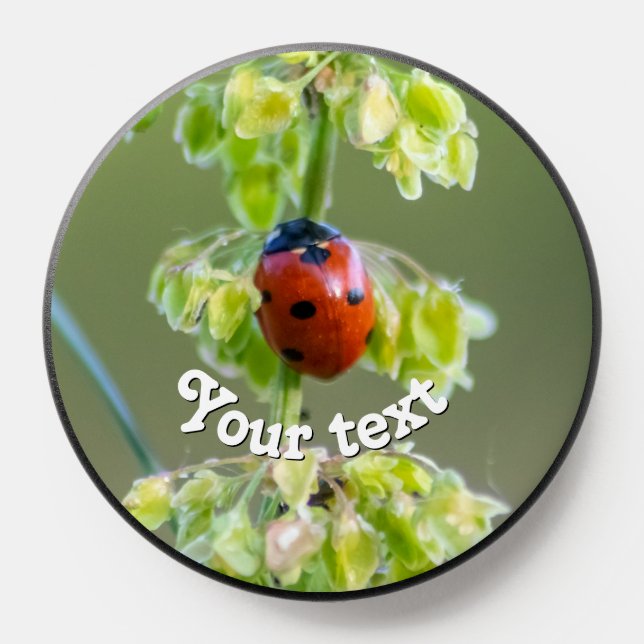Cute little ladybug flower blossom black dots luck PopSocket (Popsocket)