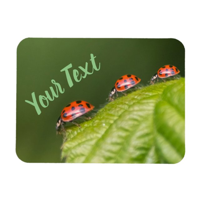 Cute little ladybug grants good luck and fortune! magnet (Horizontal)