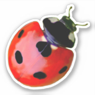 Cute little ladybug grants good luck and fortune! sticker