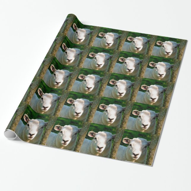 CUTE LITTLE LAMB WRAPPING PAPER (Unrolled)