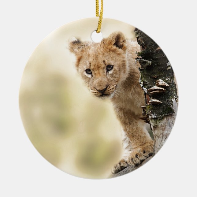 CUTE LITTLE LION CUB RANGE CERAMIC ORNAMENT (Front)