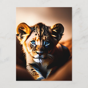 Cute Little Lion Cub with Blue Eyes Postcard