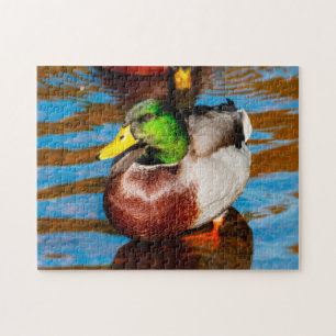 Cute Little Mallard Duck Jigsaw puzzle