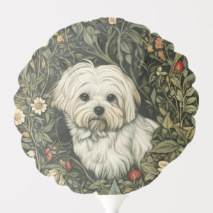 Cute Little Maltese in a Vintage Garden Balloon