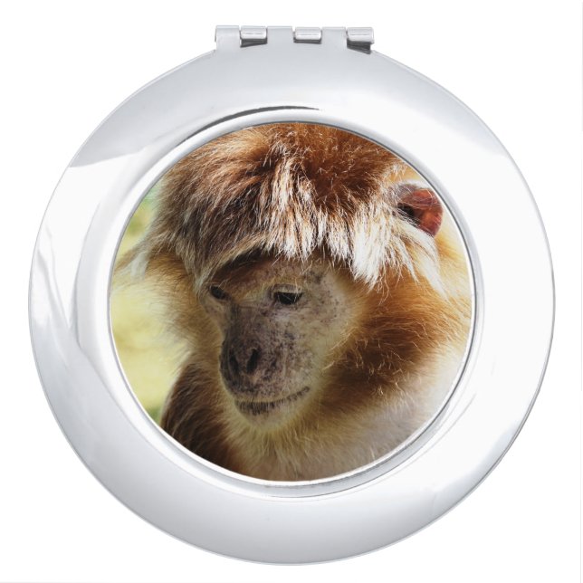 CUTE LITTLE MONKEY COMPACT MIRROR (Front)