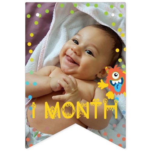 Cute little monster monthly photo birthday  bunting flags