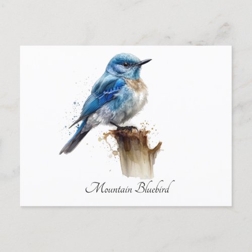 cute little mountain bluebird customizable postcard